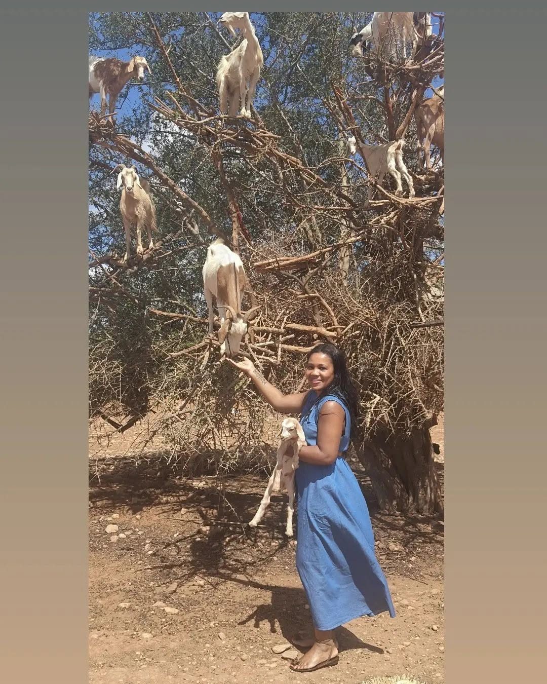 Kadine Reynolds at an argan grove with tree-climbing goats, Morocco